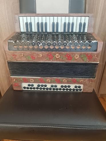 Klavişli alətlər: Akkordeon – klaviş və düymə kombinasiyalı model - Üst paneldə pianino — 2