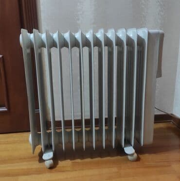 su radiatoru ev ucun: Yağ radiatoru, Kredit yoxdur, Ünvandan götürmə — 5