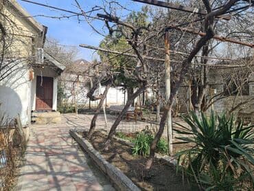 ist petrol tbilisi prospekti: 16 sot, Tikinti, Makler, Kupça (Çıxarış) — 10