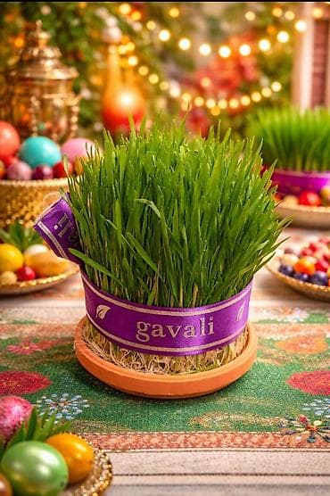 Картины и портреты: Novruz üçün dekorativ səməni martin 6,7 nen satisda olacaq perakende — 2