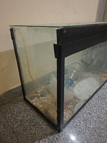 baliqlar: Akvarium şüşə tank satilir. Isteyen elaqe saxlasin. Unvan Baki. - — 3