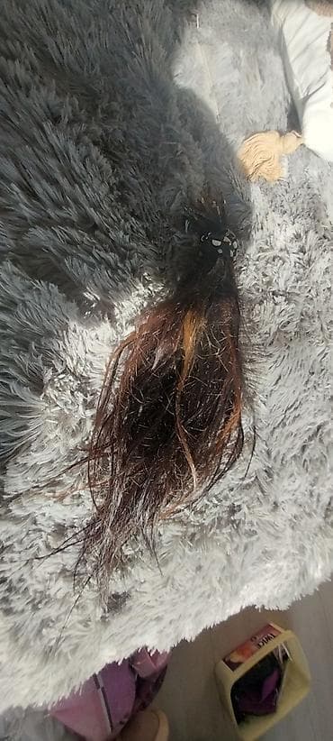 pes 5 ikinci el: Saclar — 2