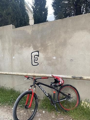 isma taurus: FOCUS MTB velosiped - Kateqoriya: Dağ/MTB, hardtail - Çərçivə — 1
