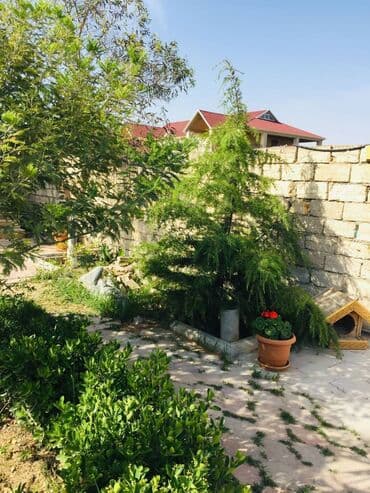 ev certiyojları: 100 kv. m, 2 otaqlı, Hovuzsuz — 7