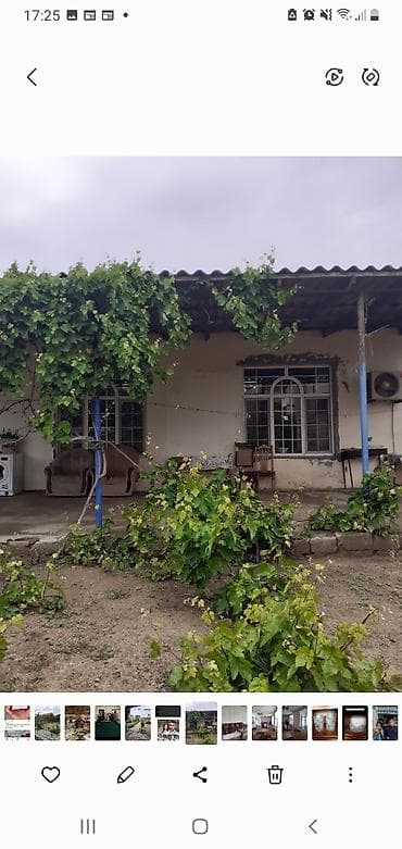 aaaf parkda satilan evler: Satılır: həyət evi və geniş bağ sahəsi - Həyət: daş hasarlı, dəmir — 4