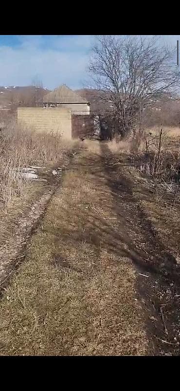 40 sot, Biznes üçün, Mülkiyyətçi, Kupça (Çıxarış)