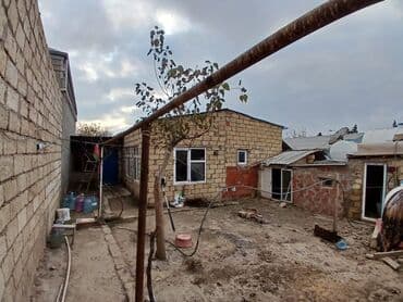 çay süfrəsi şəkilləri: Xalça Kredit yoxdur — 8