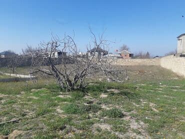 xacmaz makler: 12 sot, Makler, Kupça (Çıxarış) — 3