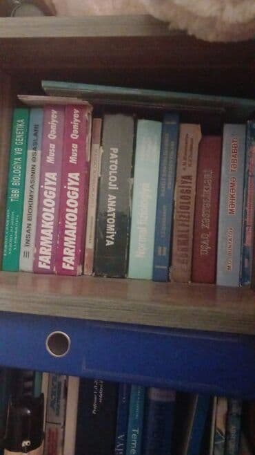 art və xaos pdf: Tibbi dərsliklər paketi - Nöroloji – İstanbul Universiteti, İstanbul — 2