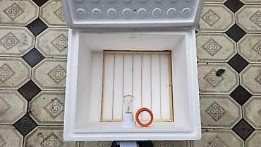 Ticarət printerləri və skanerləri: Məhsul: Inkubator Təsvir: - Ev şəraitində cücə çıxartmaq üçün — 3