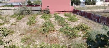 ev şəkilləri çəkmək: Kürdəxanı qəs. 4 otaqlı, 1700 kv. m, Orta təmir — 16