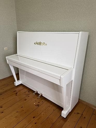piano 250: Piano, Belarus, Akustik — 3