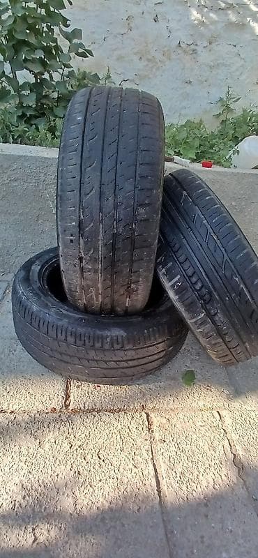 İşlənmiş Şin Lassa 205 / 55 / R 16