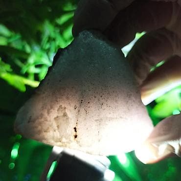 nerd sekilleri: Nadir Təbii Daş Satılır | Uv Floresan - Yaqut, Safir, Şpinel, Süd — 5