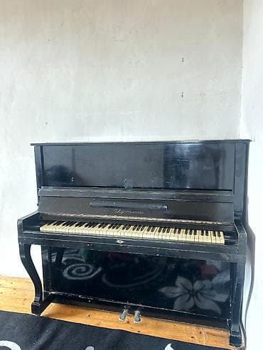 Musiqi alətləri: Piano, Akustik — 1