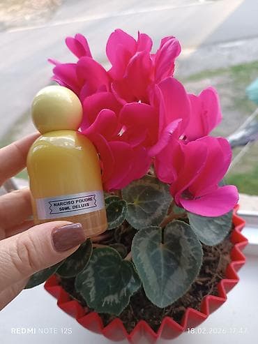 Bədənə qulluq: Məhsul: 50 ml “Deluxs” qadın ətirləri kolleksiyası Variantlar: - — 8