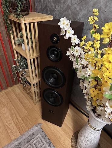 kaustik soda: К вашему вниманию представляю напольные акустические системы — 9