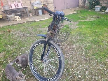 velosibet gəncə: İşlənmiş Şəhər velosipedi Adidas, 29" — 3