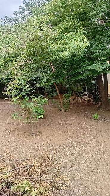Баку, Пос. Маштаги, 67 м², 3 комнаты, Без бассейна, Интернет, Газ, Электричество — 1
