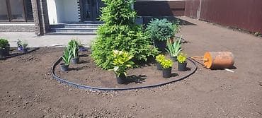 Avto xidmətlər: Pejaj və landşaft dizaynı xidməti - Həyət, bağ və villalar üçün — 10