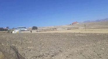 memar ecemi 3 otaqli evler: 12 sot, Tikinti, Mülkiyyətçi, Kupça (Çıxarış) — 3