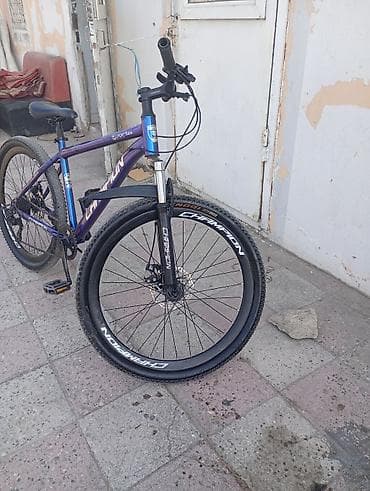 velsiped: Champion markalı velosiped. Mavi rəngli çərçivəyə malikdir və — 6