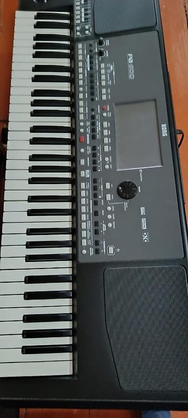 Sintezator, Korg, Yeni
