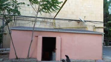 qaraj icare: Anbar — 6