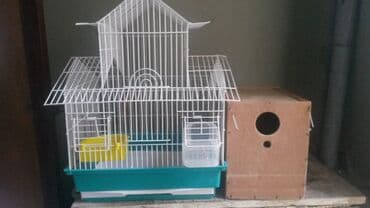 Yuvalar: Qəfəslər — 1