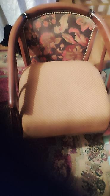 kalistamon agaci: Yeni, Jurnal masası, Kredit yoxdur, Rumıniya — 7