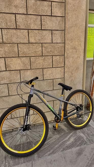 29 luq velosiped: İdial velo axtaran düz ünvandadı Heç bir problemi yoxdur səsli topludu — 4