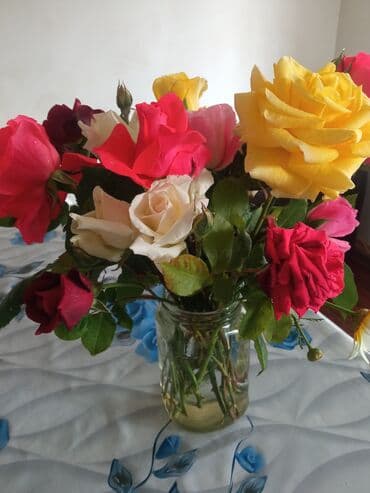 islenmis darvaza: Wolf markalı tozsoran, 2600W gücündədir. Üzərində tənzimləmə — 4