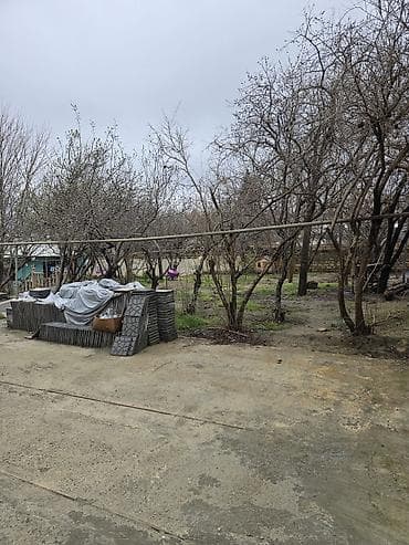 bilesuvar ev satisi: Satılır: Biləcəridə ploşad deyilən yerə yaxin yoldan 30 metrə icəridə — 3