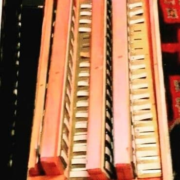 rus gitarasi: Qarmon, Yeni, Ödənişli çatdırılma — 5