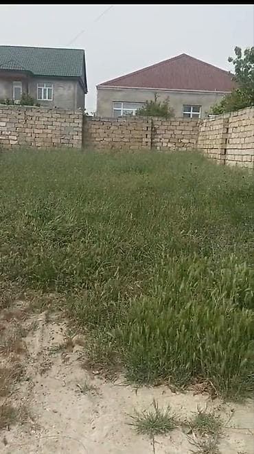 yardimli: 2 sot, Kənd təsərrüfatı, Mülkiyyətçi, Kupça (Çıxarış) — 1