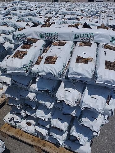 Bağ və parniklər üçün kakobit satılır. əlavə məlumat üçün zəng edin lalafo.az -da Bağ və parniklər üçün kakobit satılır. əlavə məlumat üçün zəng edin