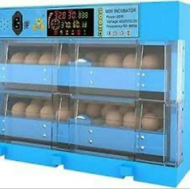 Инкубаторы: Inkubator inqibator inkibator inqubator Expert Yeni model Avtomatik — 2