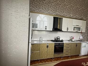 xar tut ağacı: Mətbəx mebeli dəsti Moyka,krant aspiratır hədiyyə. Rəal alıcılar — 1