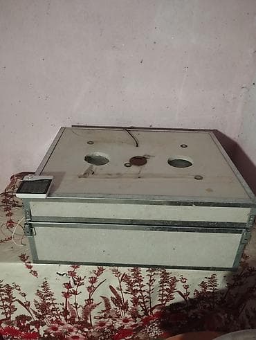 100 yumurta, Azərbaycan, Bütün növ quşlaq üçün
