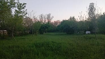 melisa parkda kiraye evler: 30 sot, Kənd təsərrüfatı — 6