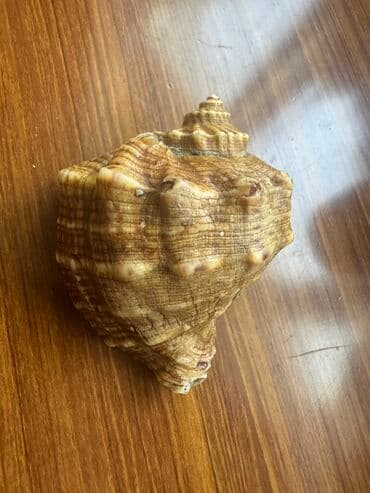 говорящие мягкие игрушки: Rakuşka — 4