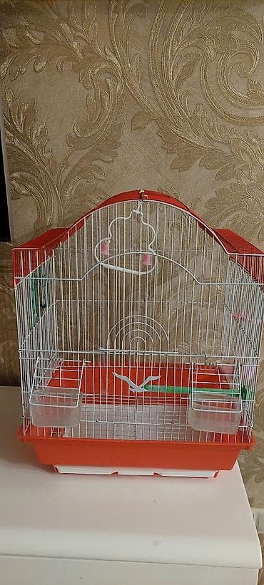 Quş qəfəsi – aksesuarlarla - Rəng: ağ metal barmaqlıqlar, qırmızı üst
