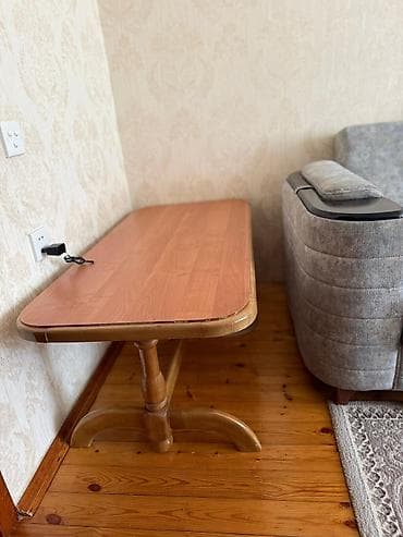 Masalar: Qonaq masası, Açılmayan, Taxta, Dördbucaq masa — 1