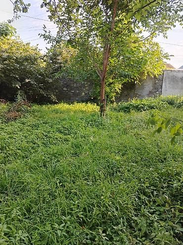 mingecevir ev elanlari: 3 sot, Tikinti, Mülkiyyətçi — 3