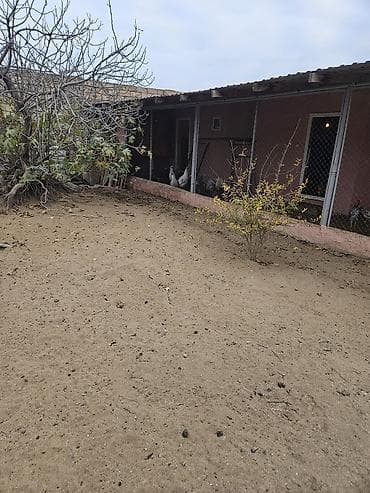 pirallahida ev satilir 2021: 85 kv. m, 4 otaqlı, Su — 9