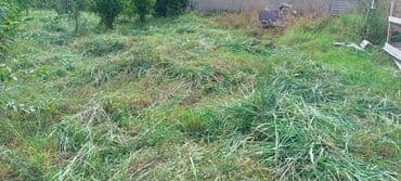 xacmaz torpag: Tikinti — 3