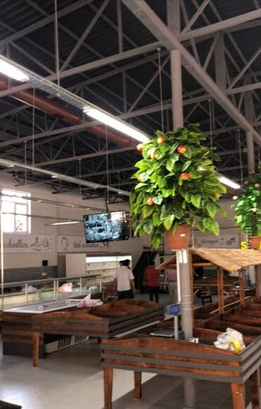 mağaza bağlanır: Sabunçu rayonu Bakixanov qəsəbəsində,sahəsi 650 kv/m olan, obyekt — 10