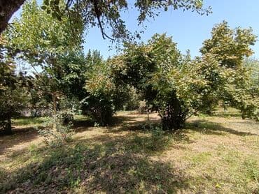 lalafo долгосрочная аренда квартир: 22 соток, Для строительства, Риэлтор, Купчая — 2