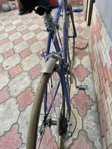 азербайджанский язык книга 5 класс: Golden bike “SHİMANO” raceing bike Orginal italyadan gətirilmə “ — 3