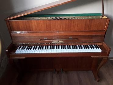 gitara akustik: Piano, Zimmermann, Akustik, İşlənmiş, Pulsuz çatdırılma, Ünvandan götürmə — 2